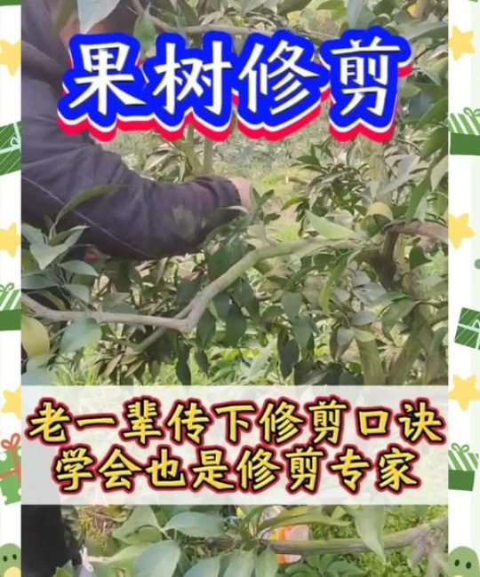 果树苗怎么修剪？掌握这5个核心技巧，增产增收很简单