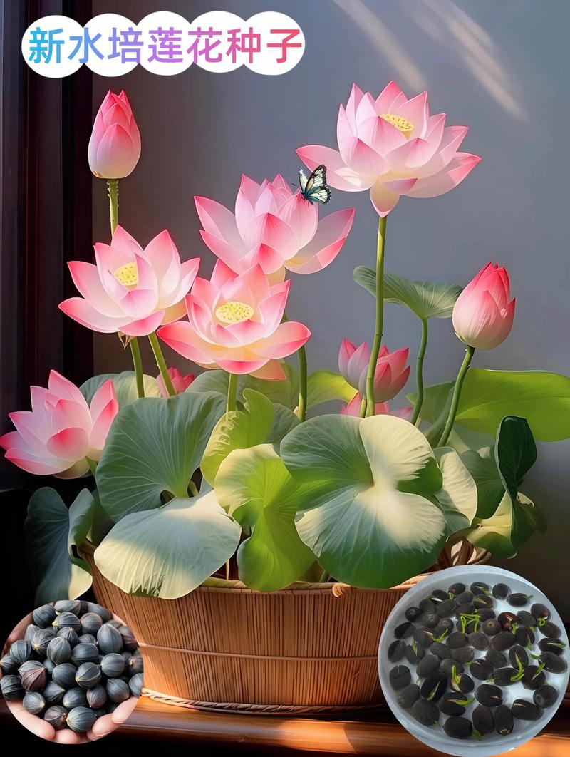 常见疑问（FAQ）