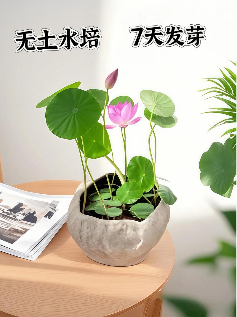 五大常见误区