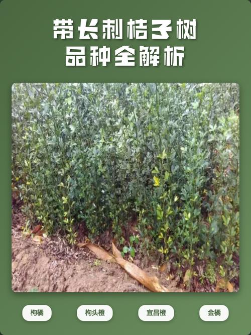 总结