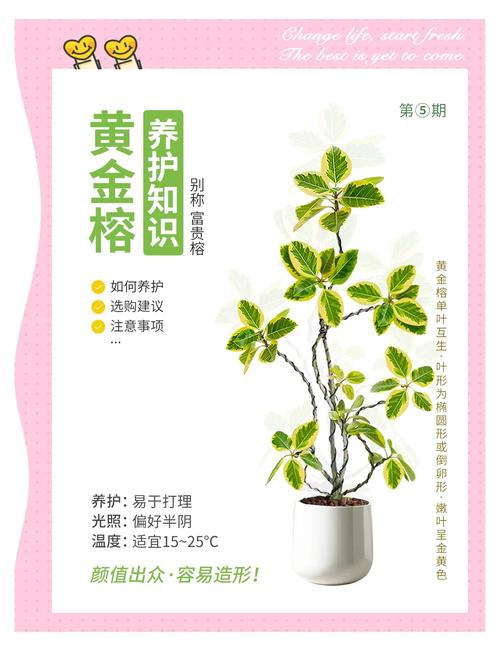 七、常见误区纠正