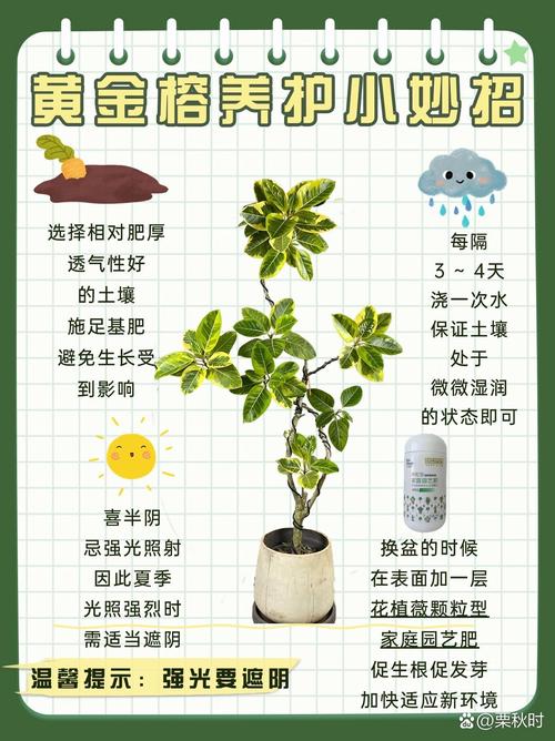 六、南北种植差异化建议
