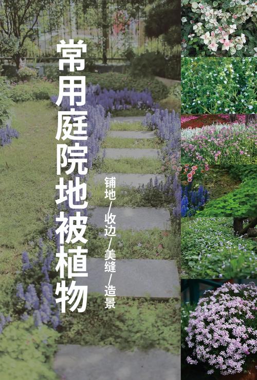 日常养护要守住这几点