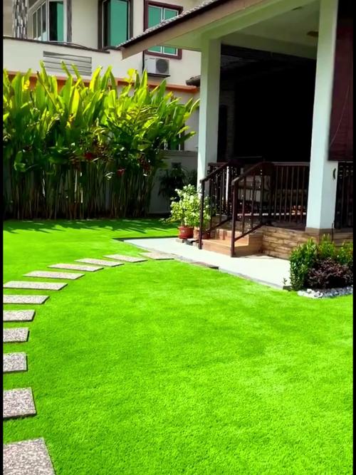 常用庭院草种对比