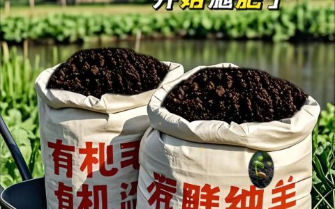 花施羊粪好吗？全面解析羊粪在花卉种植中的妙用与注意事项