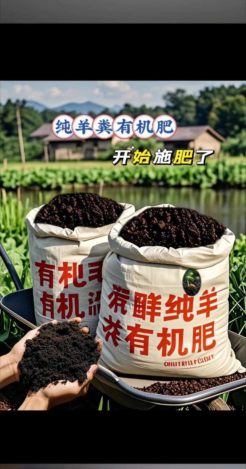 花施羊粪好吗?全面解析羊粪在花卉种植中的妙用与注意事项 一、羊粪对花卉的主要好处