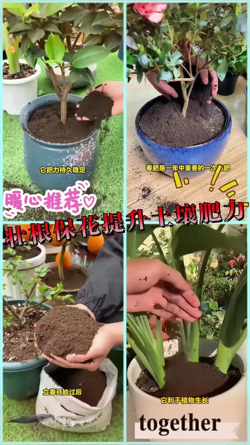 花施羊粪好吗?全面解析羊粪在花卉种植中的妙用与注意事项 三、常见误区与注意事项