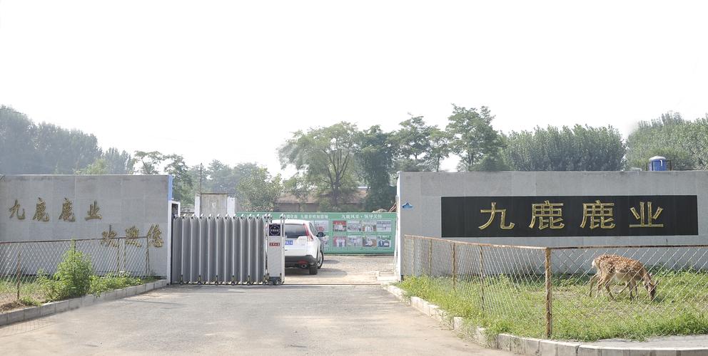 哪里有养殖梅花鹿?打造优质养殖园区的苗木采购渠道分析指南 第二步:品种真实性核查与规格匹配