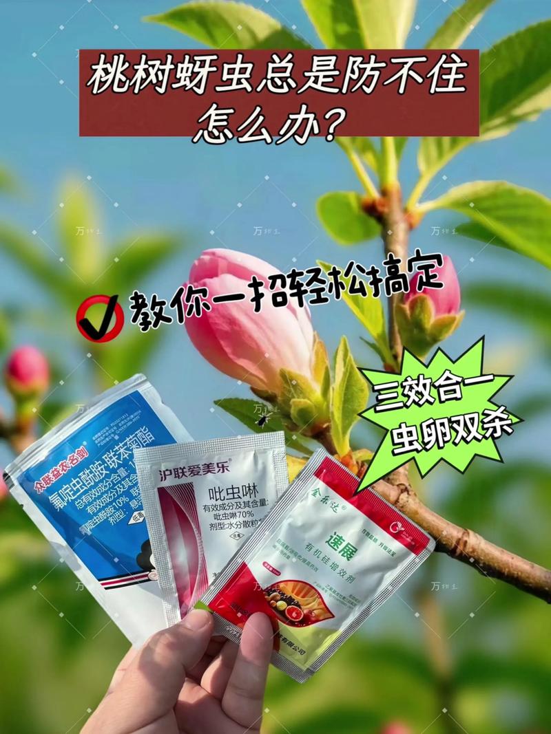 石榴树蚜虫防治权威指南:物理、生物与化学方法综合实战方案 物理防治与农业措施:修剪通风与黄板诱杀,可减少蚜虫种群基数40%-60%