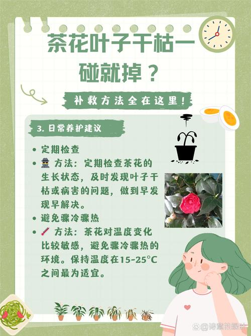 茶花叶子掉光了怎么救?从根源到急救,3步恢复生机 常见误区与纠正(3个)