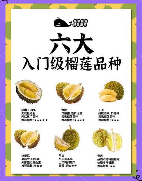 榴莲分多少种?——园艺视角下的品种全解析 三、按商业品种分类:全球主流品种详解