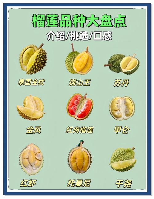 榴莲分多少种?——园艺视角下的品种全解析 五、品种数量统计:到底有多少种?