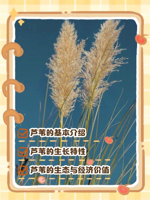 芦苇每年都要种吗?挺水植物一次种植多年受益的养护真相 FAQ