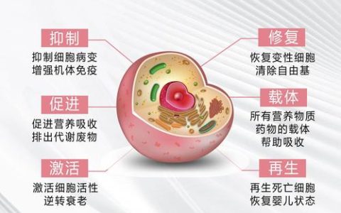 植物肽的作用是什么？园艺应用与健康功效全面解读