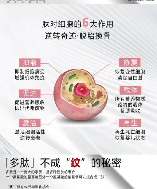植物肽的作用是什么？园艺应用与健康功效全面解读