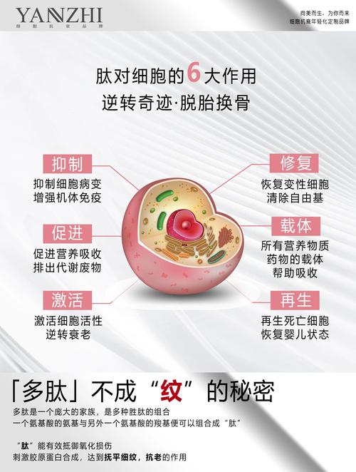 植物肽的作用是什么?园艺应用与健康功效全面解读 植物肽在园艺中的作用