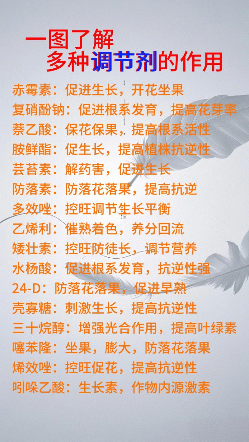 植物肽的作用是什么?园艺应用与健康功效全面解读 结语