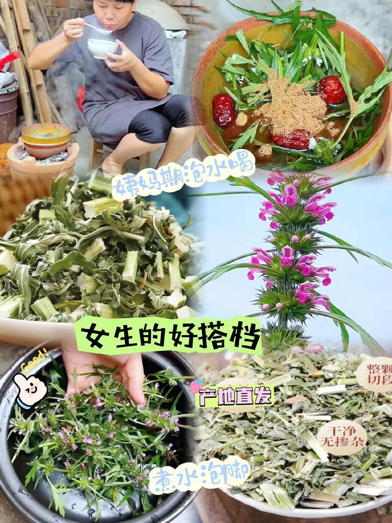 三、如何正确煮水？