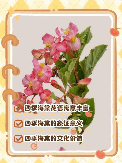 总结：3个核心可执行动作
