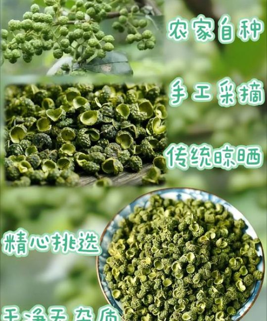 红花椒和青花椒哪个好？2026年6维度深度对比与种植指南