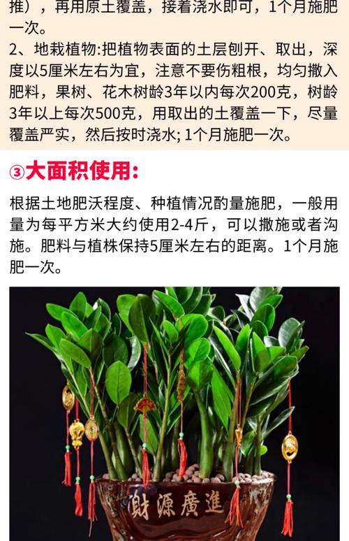元宝树施肥指南:选对肥料,养出油亮叶片与粗壮主干 施肥:元宝树施什么肥料最好?以氮为主、均衡补充