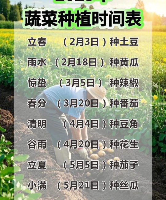 月季什么时候种最好？家庭种植时间与技巧