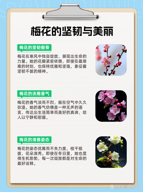 不开花不结果常见原因与解决