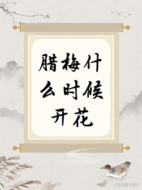常见问题解答（FAQ）