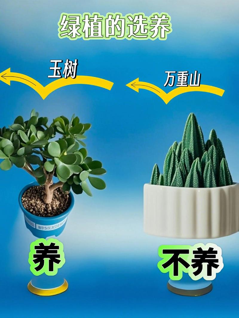 根系状态评估与运输装车方案