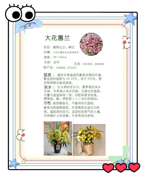 常见误区与纠正