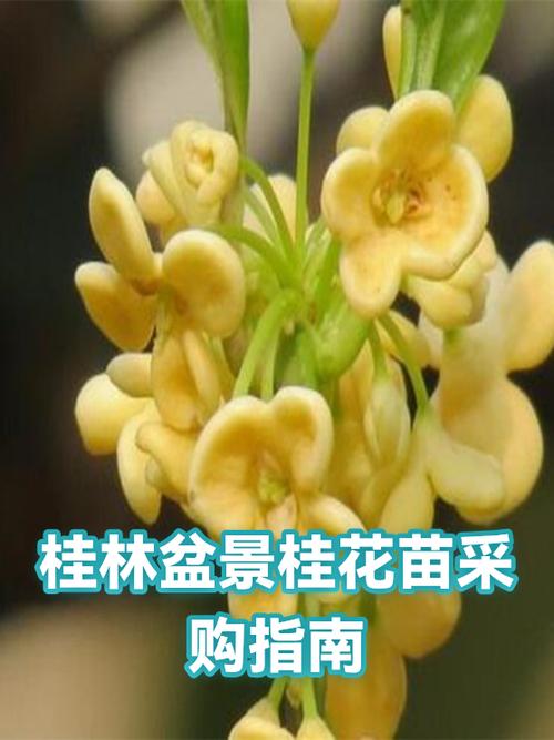 总结