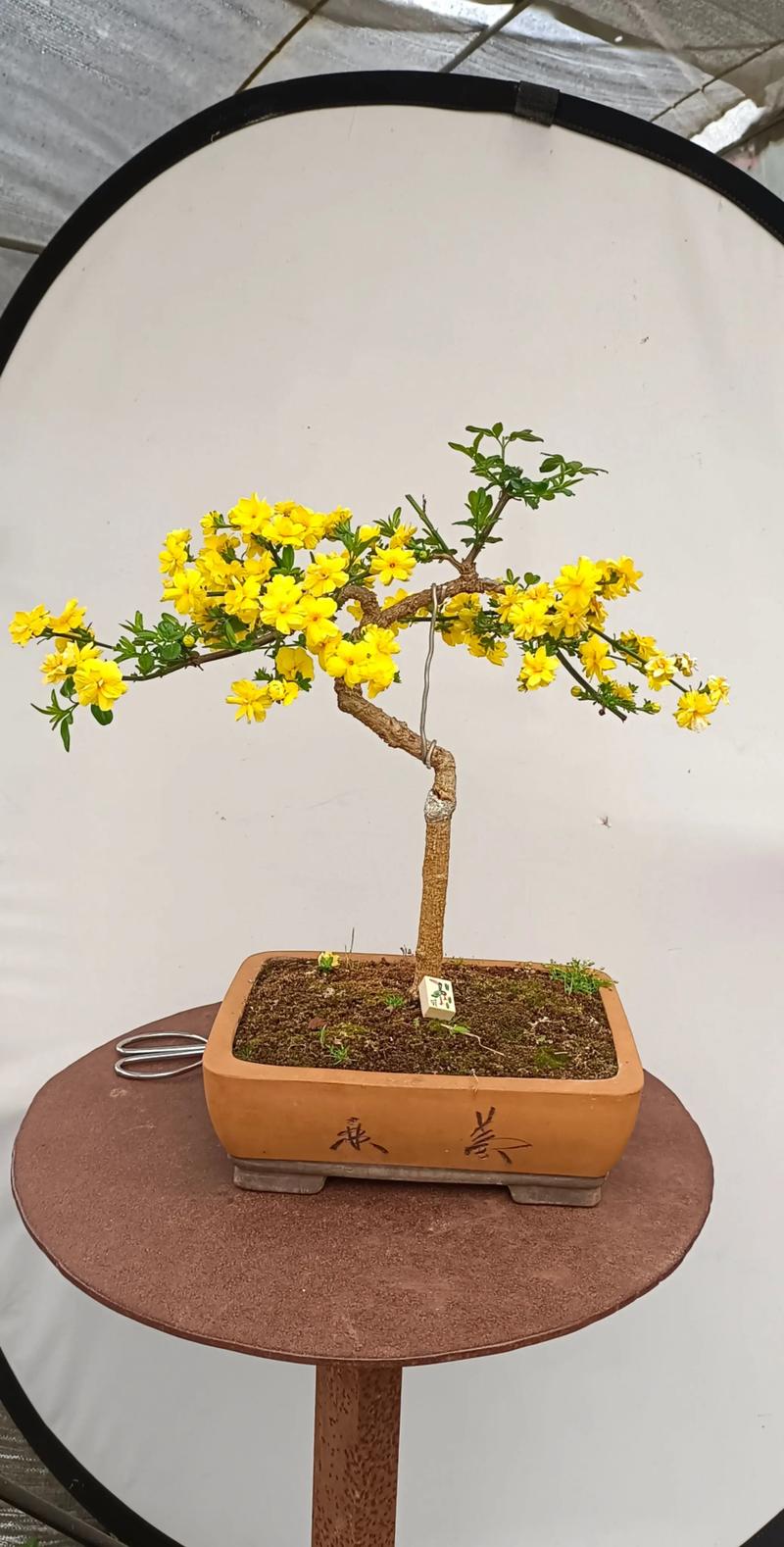 越冬与越夏管理