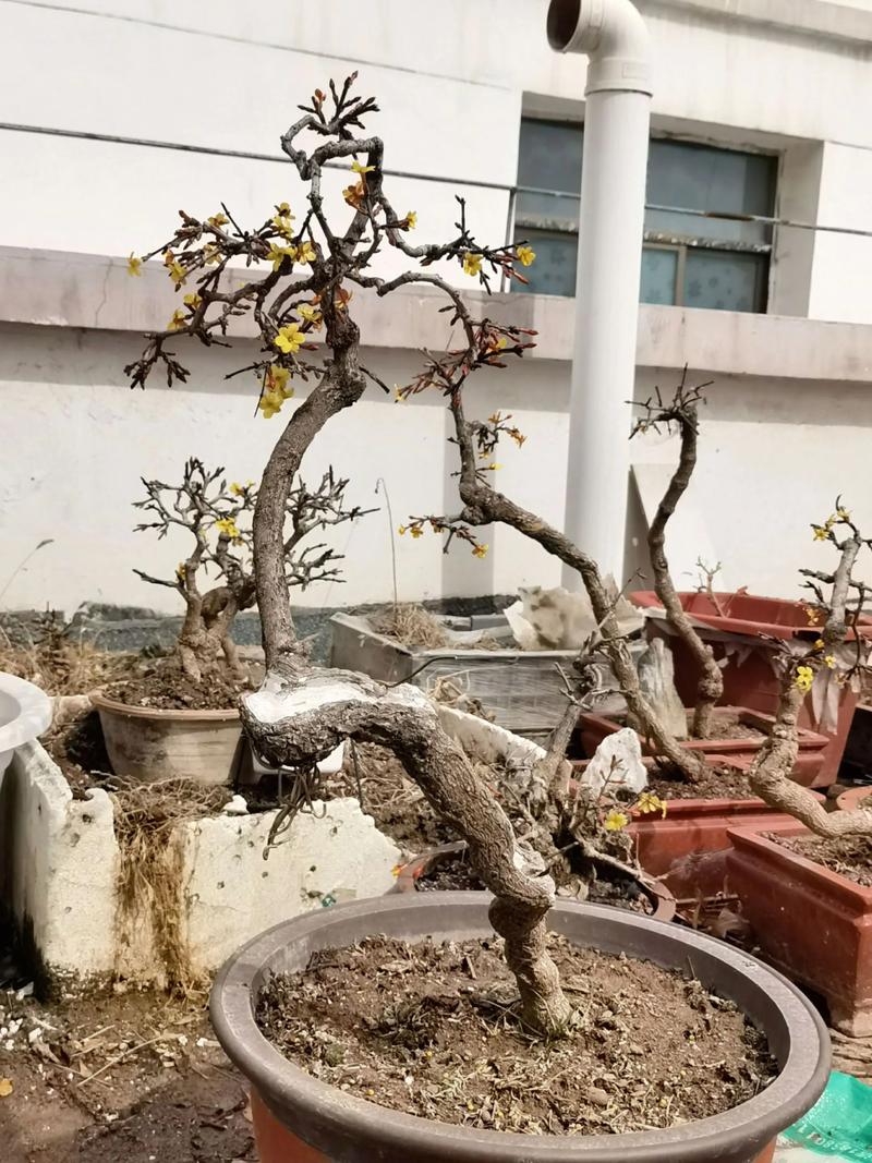 总结