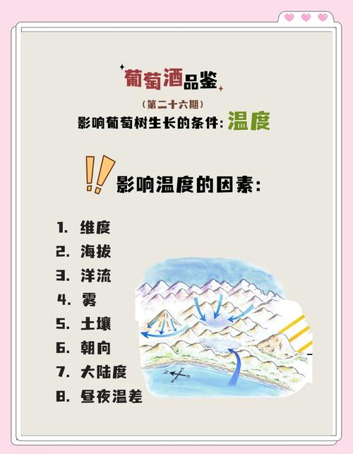 葡萄树最适宜生长温度全解析:从萌芽到结果的温度管理指南 总结验证:温度管理决定葡萄种植成败