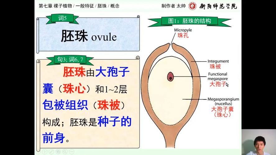 总结