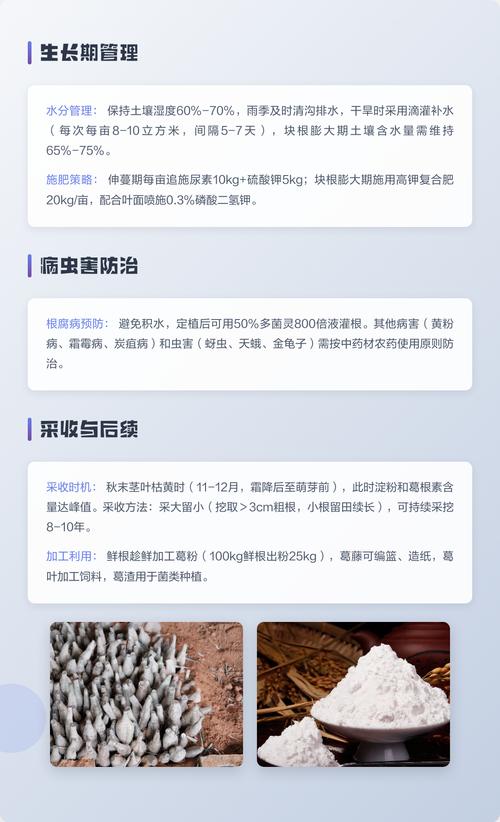 七、成活注意事项