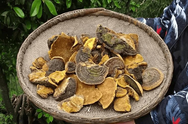 价格快速参考