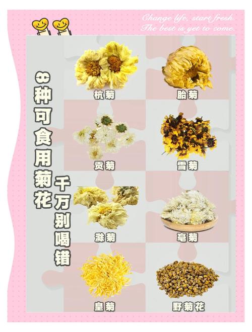 菊花1999年品种价格:快速参考与影响因素分析 采购数量影响价格