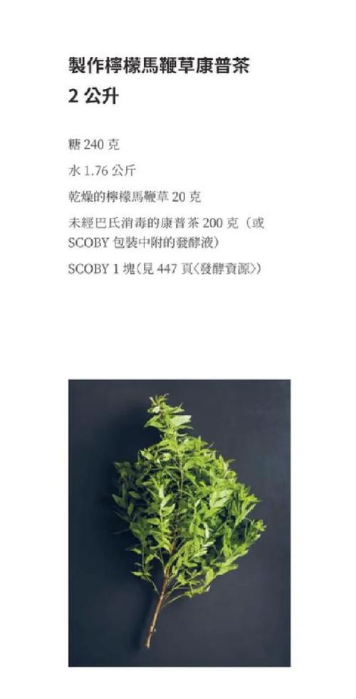 马鞭草怎么吃?手把手教你种植与食用柠檬马鞭草 四、马鞭草怎么吃?四大经典吃法