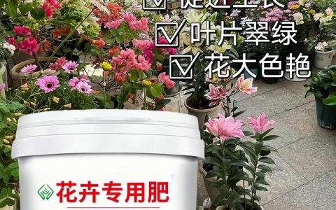 芙蓉花用什么肥？这份施肥指南让花开满枝