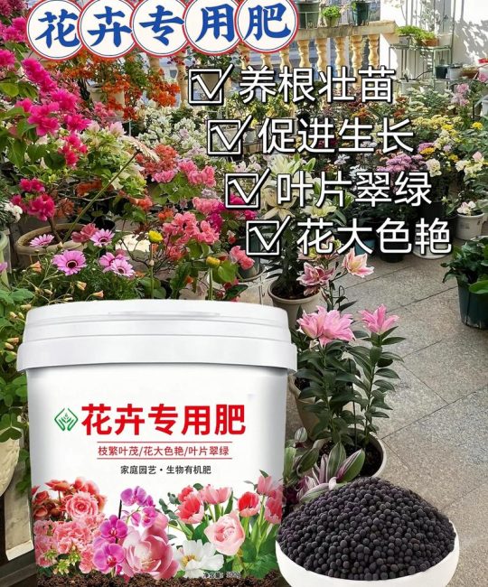 芙蓉花用什么肥？这份施肥指南让花开满枝