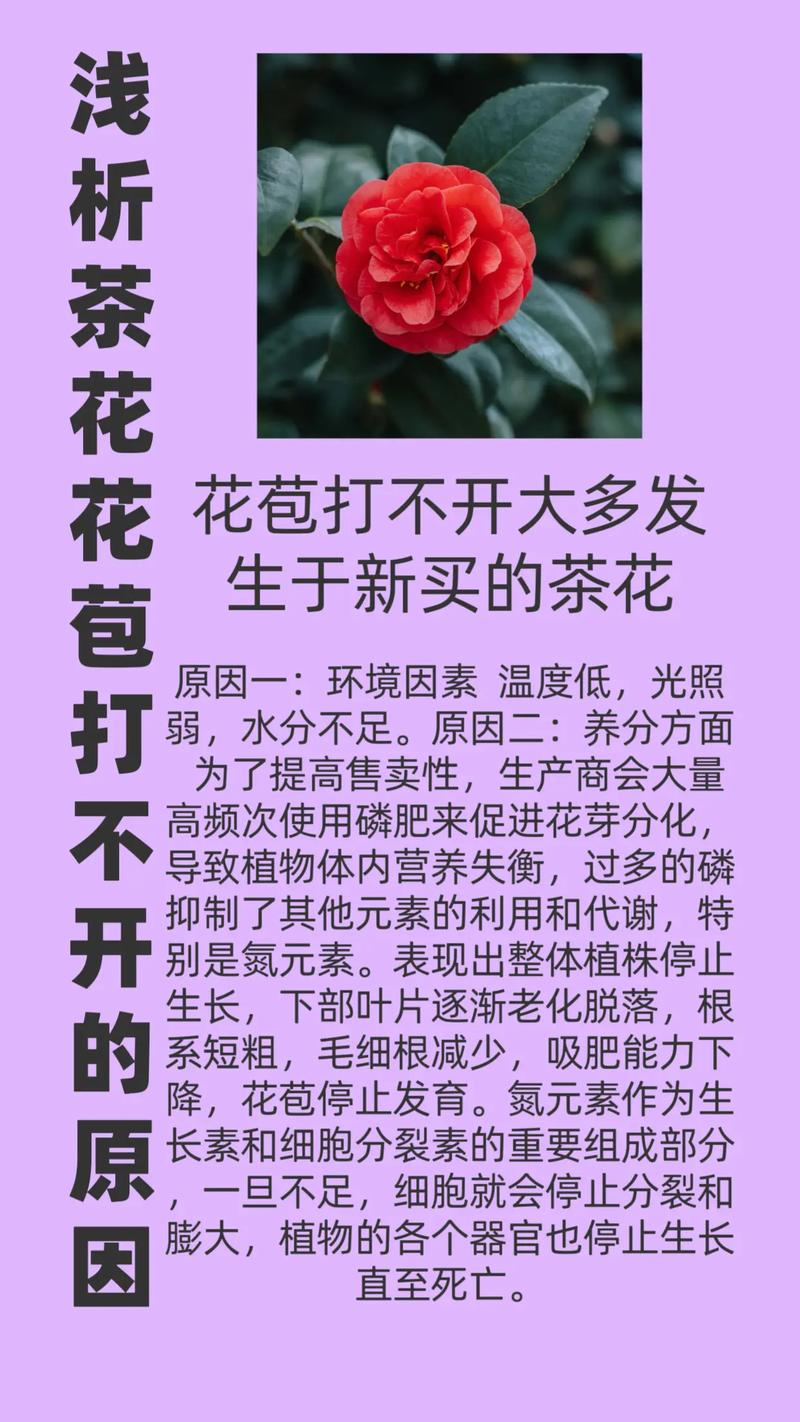 病虫害防治
