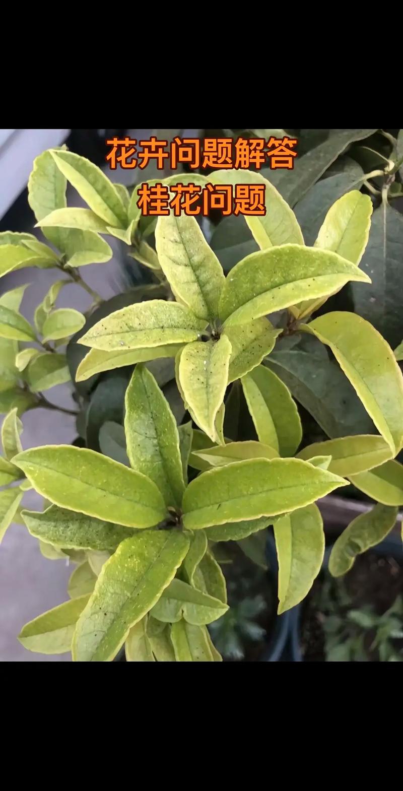 四、空气干燥