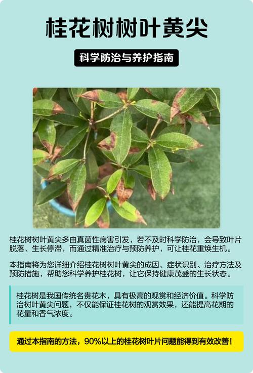 五、病虫害侵袭
