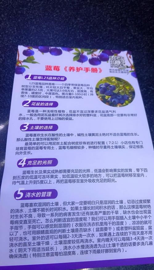 常见误区纠正