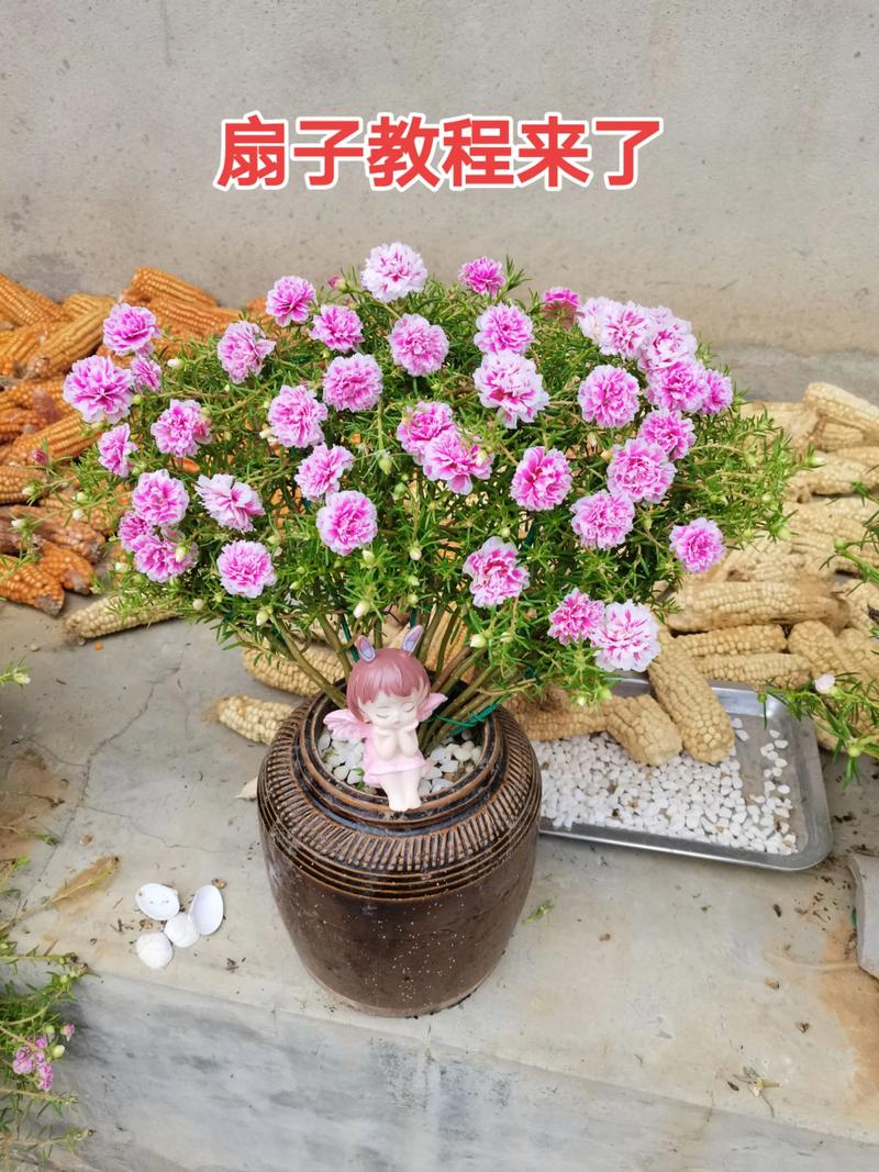 修剪促花系统指导