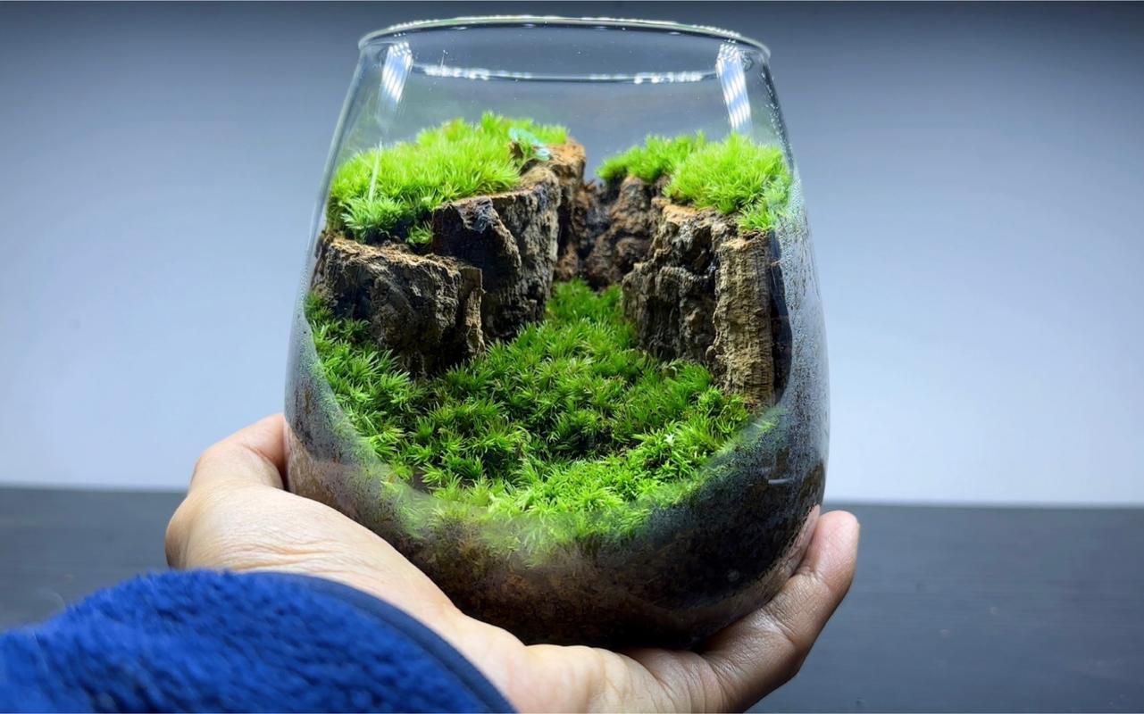 种苔藓用什么土?选对基质,打造一片生机盎然的苔藓微景观 推荐配方:适合大多数苔藓的基质