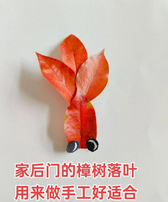 樟树市手工园艺资材供应商评估指南：如何科学筛选可信渠道