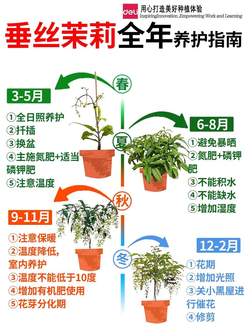 五、土壤与换盆