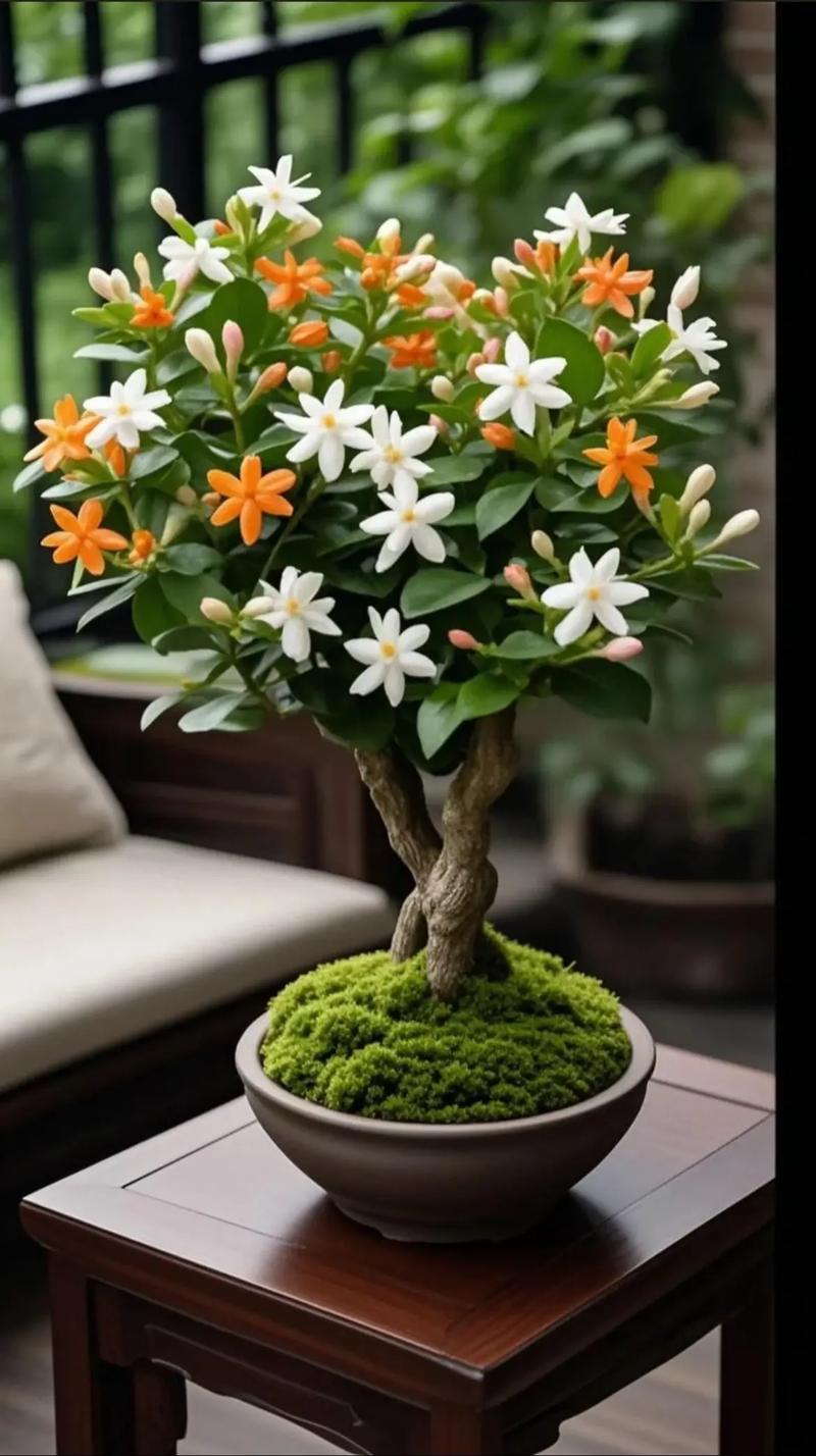 总结